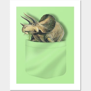 Pocket Triceratops Posters and Art